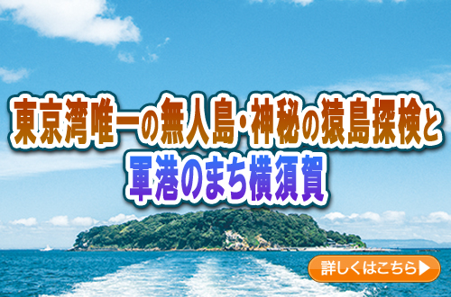 東京湾唯一の無人島・神秘の猿島探検と軍港のまち横須賀