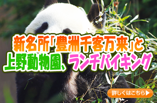 新名所『豊洲千客万来』と上野動物園、ランチバイキング