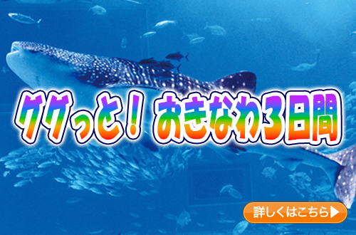 ググっと！おきなわ３日間