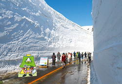 蔵王エコーライン雪の壁ウォークと白石川堤一目千本桜